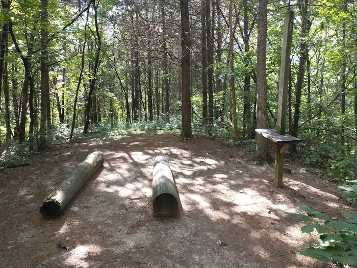 Cedar Ridge Backcountry Campsite 8