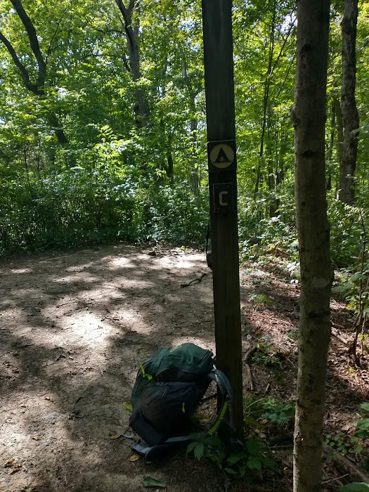 Cedar Ridge Backcountry Campsite 6