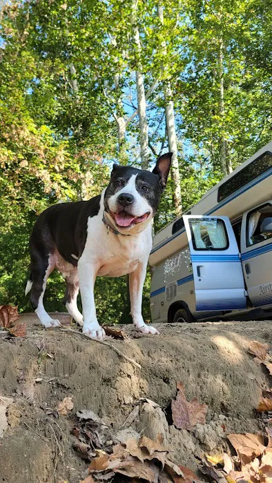 Cotton Wood Camp Grounds 8