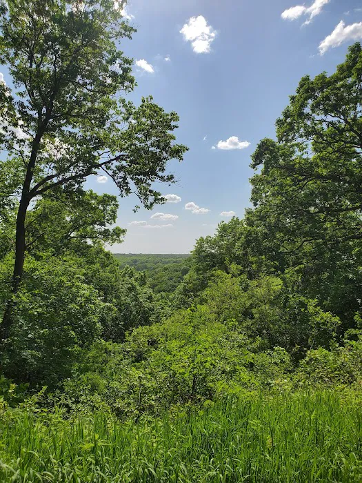 Ledges State Park Campgrounds 2