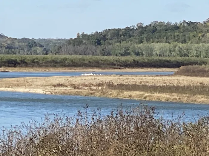 Swede Point Park 4