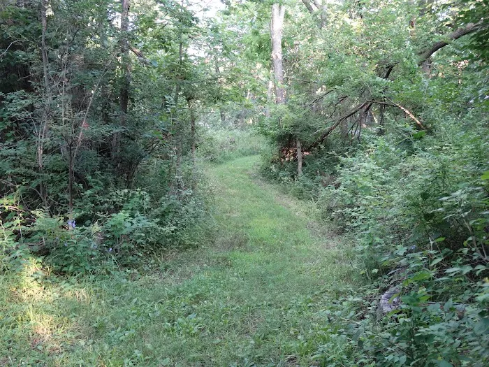Timber Calls RV Campground 8