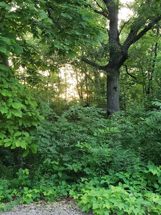 Jester Park Campground 9