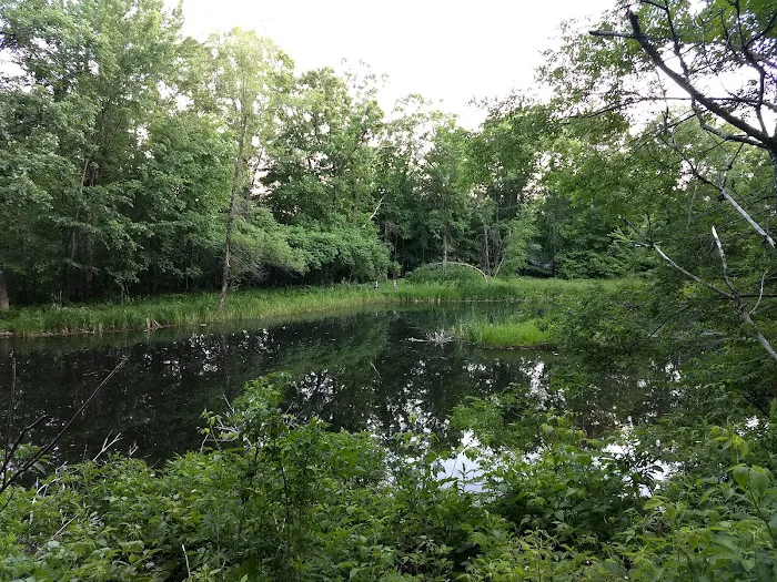 Sandy Hill Campground 6