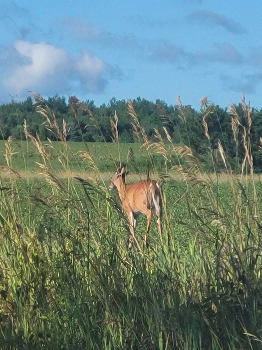 Harstad County Park 4