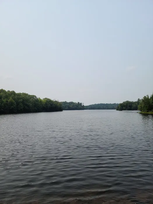 Pine River Flowage Boat Landing and Camp Sites (south end) 2