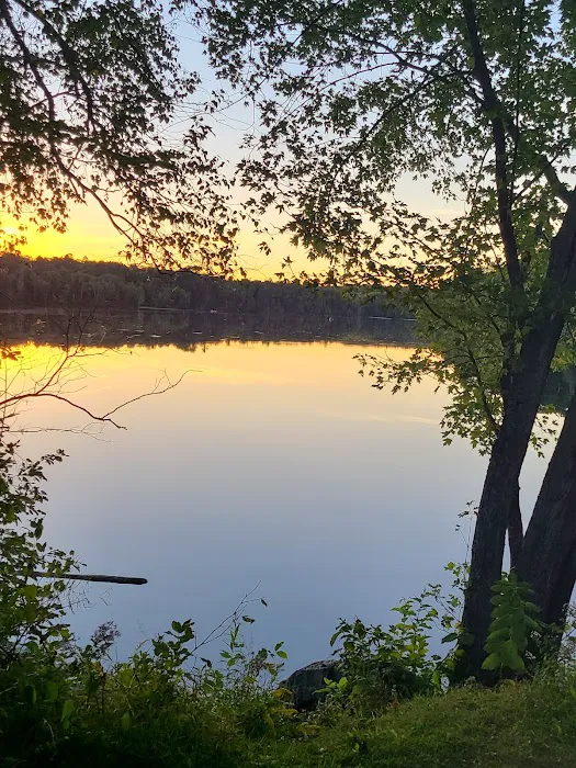 Pine River Flowage Boat Landing and Camp Sites (south end) 5