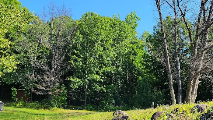 WE Energies Wilderness Shores Recreation Area #34 2