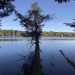 Lost Lake Cabins