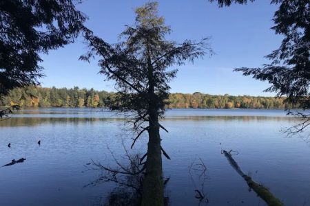 Lost Lake Cabins