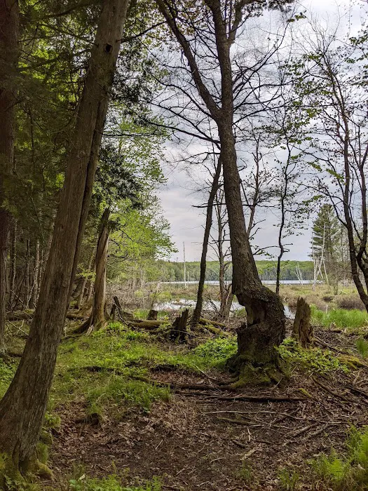 Lost Lake Cabins 6