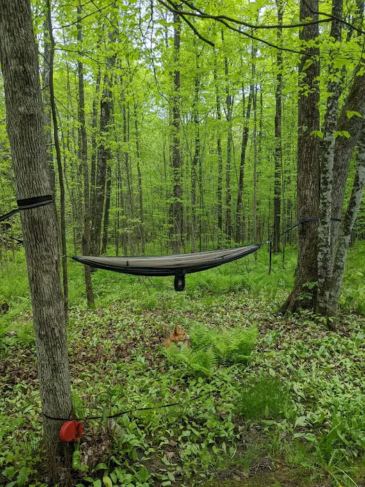 Lost Lake Cabins 5