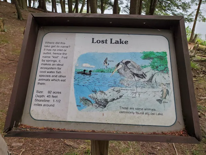 Lost Lake Cabins 7
