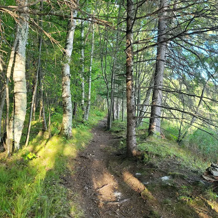 Lost Lake Campground 3