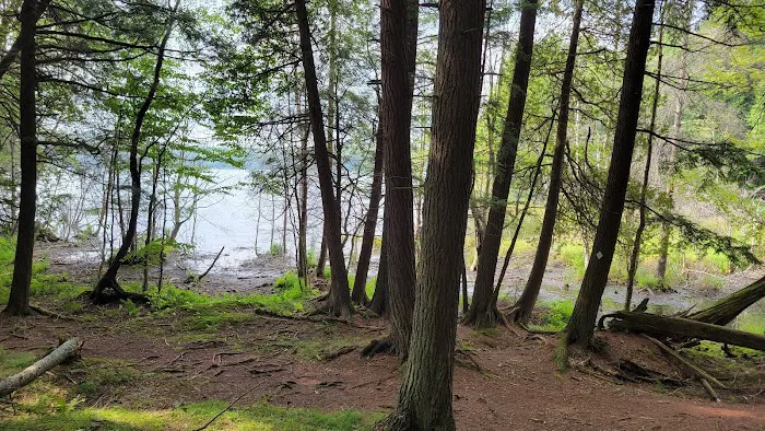 Lost Lake Campground 2