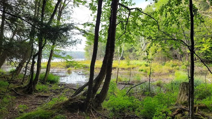 Lost Lake Campground 8