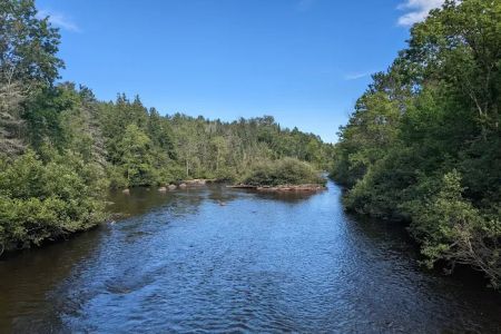 Chipmunk Rapids Campground