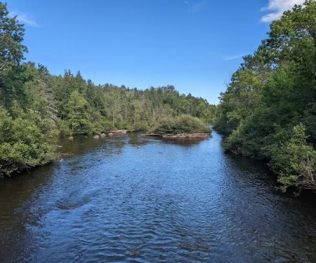 Chipmunk Rapids Campground