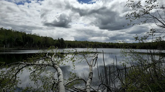 Perch Lake Campground 1