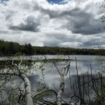 Perch Lake Campground