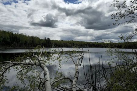 Perch Lake Campground