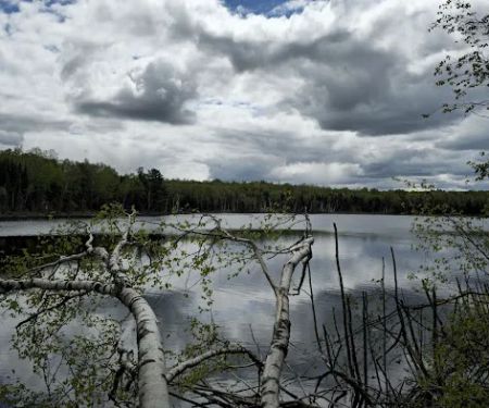 Perch Lake Campground