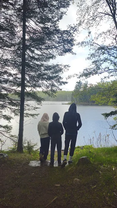 Perch Lake Campground 8