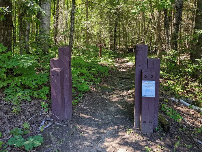 Perch Lake Campground 10