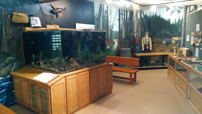 US Forestry Department 7