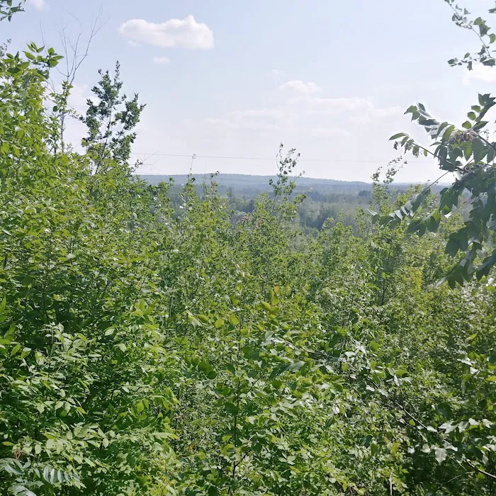 Camping In the Clouds/Mineshaft Bar & Grill 6
