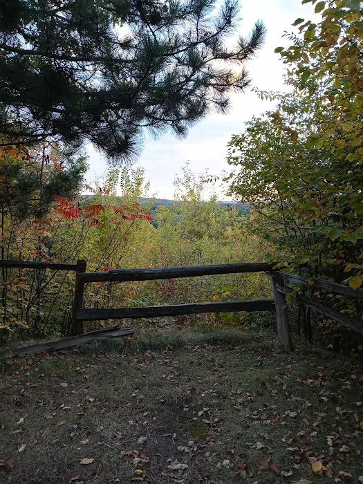 Camping In the Clouds/Mineshaft Bar & Grill 4