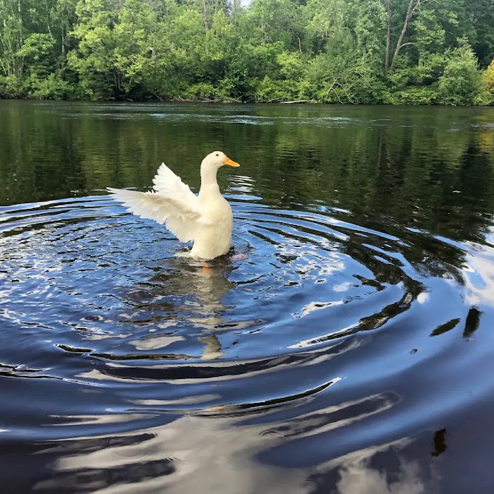Rivers Bend RV Resort & Campground 2