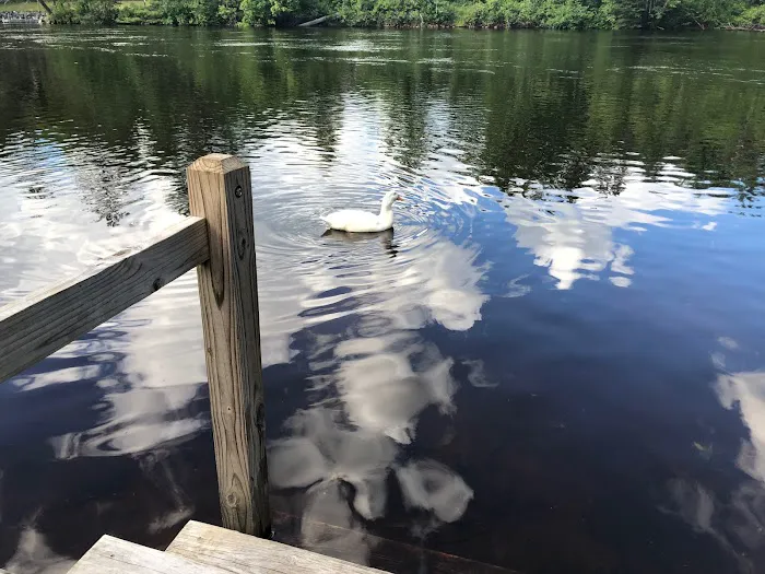 Rivers Bend RV Resort & Campground 10