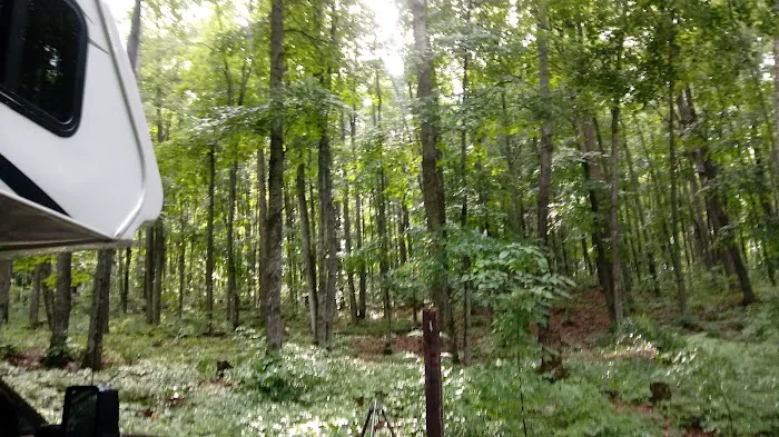 Stevens Lake Campground 4