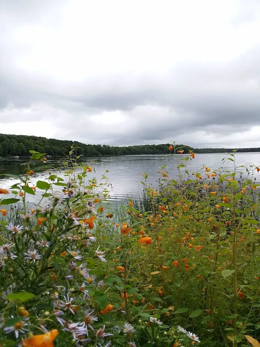 Stevens Lake Campground 5