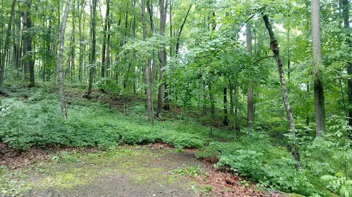 Stevens Lake Campground 7