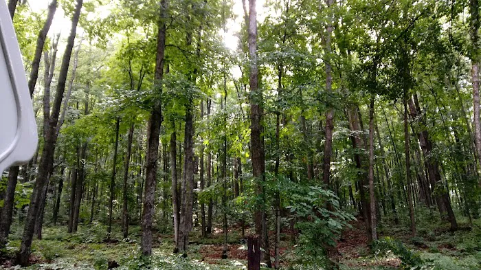 Stevens Lake Campground 10
