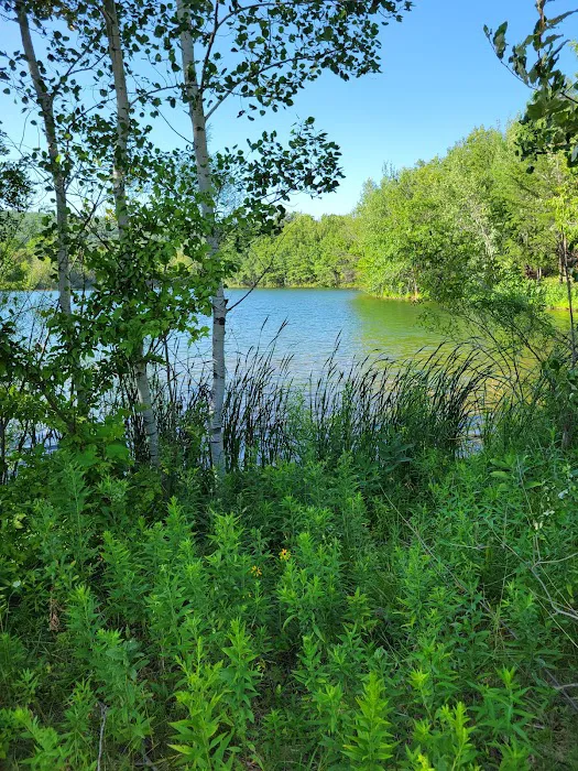White Birch Village 3