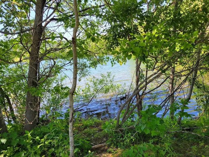 White Birch Village 9