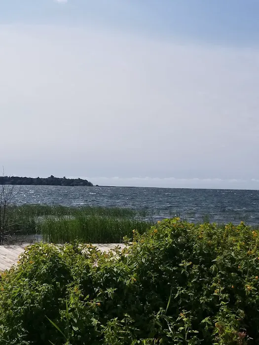 Gladstone Bay Campground 10