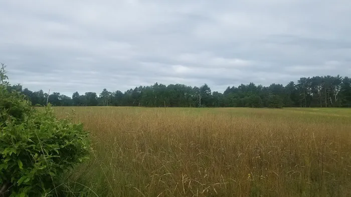 Summer Breeze Campground 10