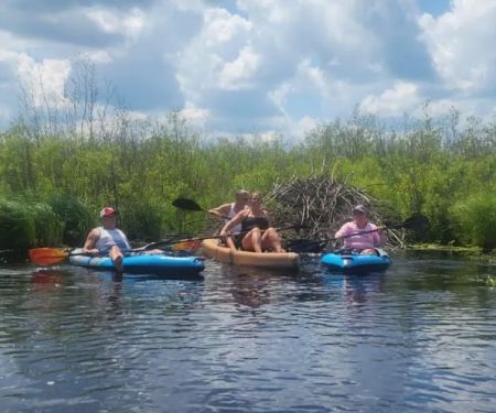 Majestic Pines Campground