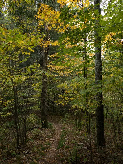 West Point Campground 5