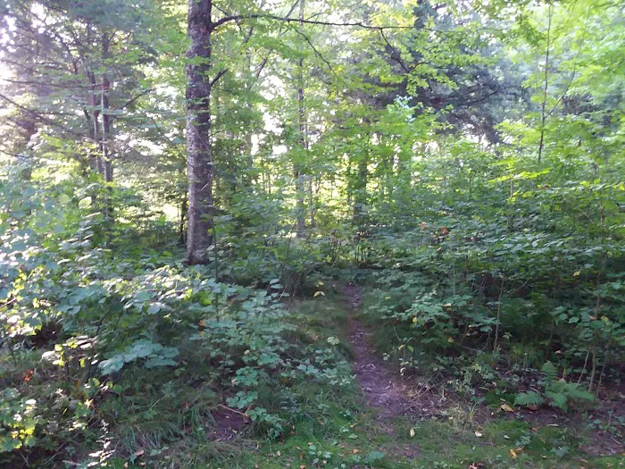 West Point Campground 6