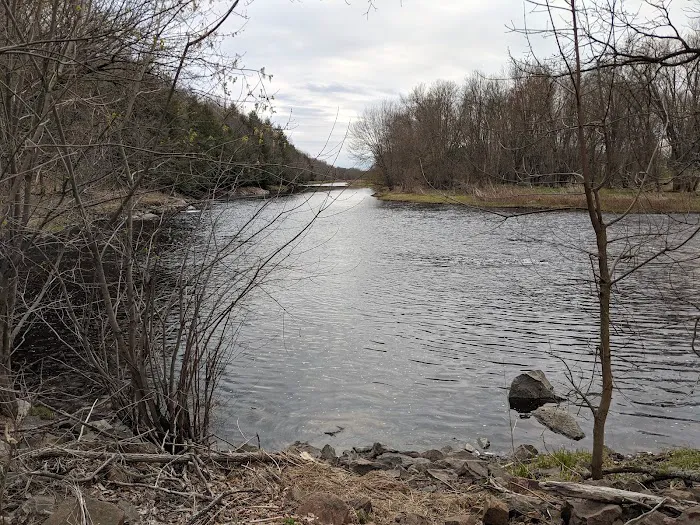 Spearhead Point Campground 8