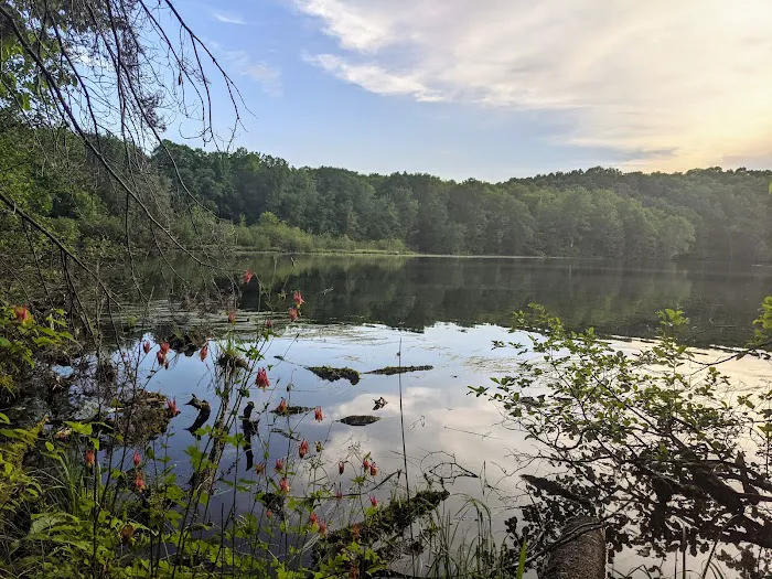 Eastwood Campground 4