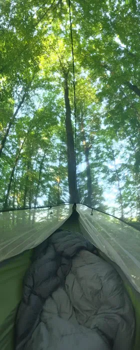 Eastwood Campground 10