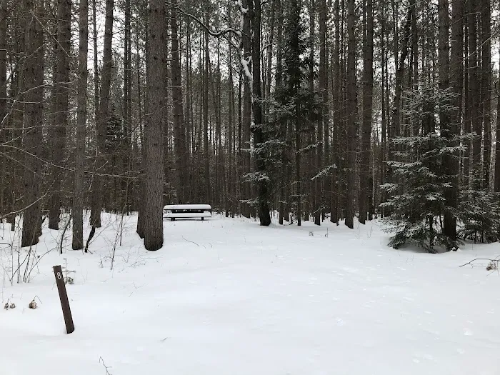 Windsor Dam Campground 1