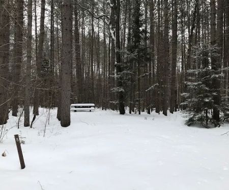 Windsor Dam Campground