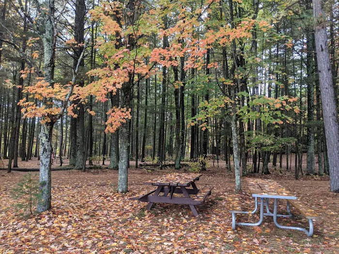 Laurel Lake Campground 3